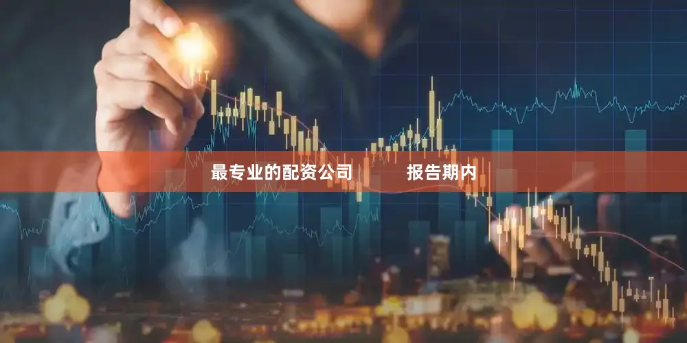 最专业的配资公司           报告期内