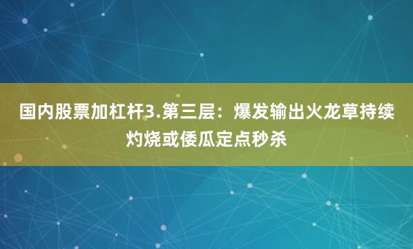 国内股票加杠杆3.第三层：爆发输出火龙草持续灼烧或倭瓜定点秒杀