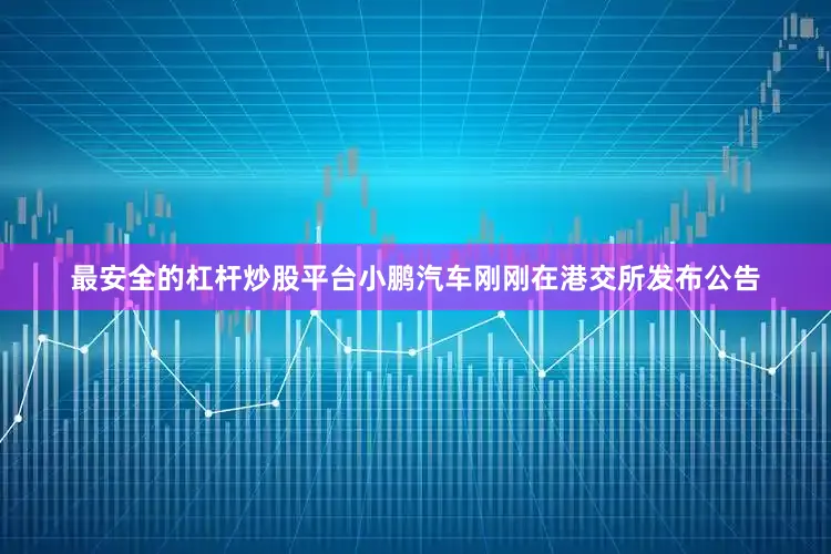 最安全的杠杆炒股平台小鹏汽车刚刚在港交所发布公告